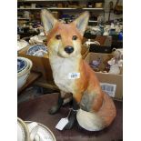 A fireside fox. 16 1/2" tall.
