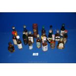 A quantity of miniature whisky bottles to include; Pigs Nose, Haig, Clan Malt, Glenfiddich,