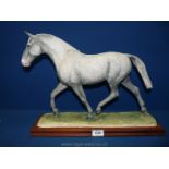A Border Fine Arts extra large figure of a Grey 'Hunter', limited edition, boxed,
