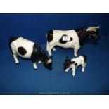 A Cattle family, Friesian, bull, cow and calf.
