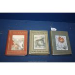 Three ''Shown to the Children'' series children's books - The Sea Shore,