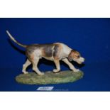 A Border Fine Arts of Foxhound. 5 1/2" tall.