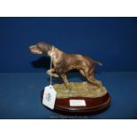 A Border Fine Arts figure of Short haired German Pointer, with base,