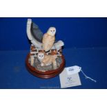 A Border Fine Arts figure group of Barn Owls 'Silent Sanctuary', with base, boxed,