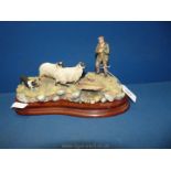 A Border Fine Arts 'Steady Lad Steady', a sheepdog herding sheep,with base,