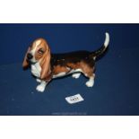 A Beswick Basset hound.