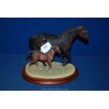 A Border Fine Arts 'Thoroughbred Mare & Foal', with base, 12'' long overall and certificate.