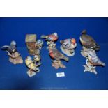 Eight Maruri birds including Robin, Teal,