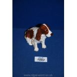 A Royal Doulton cocker Spaniel in liver and white colours.
