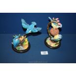 A pair of bird figures by Border Fine Arts studio 'Pair of Kingfishers' nos 7389 and a pair of blue