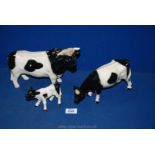 A Cattle family, Friesian, bull, cow and calf,