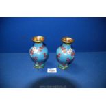 A pair of Cloisonne enamelled Vases, blue ground with cherry blossom decoration, 5" tall.