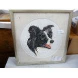 A framed tapestry of the face of a Welsh Border Collie Sheep-dog.