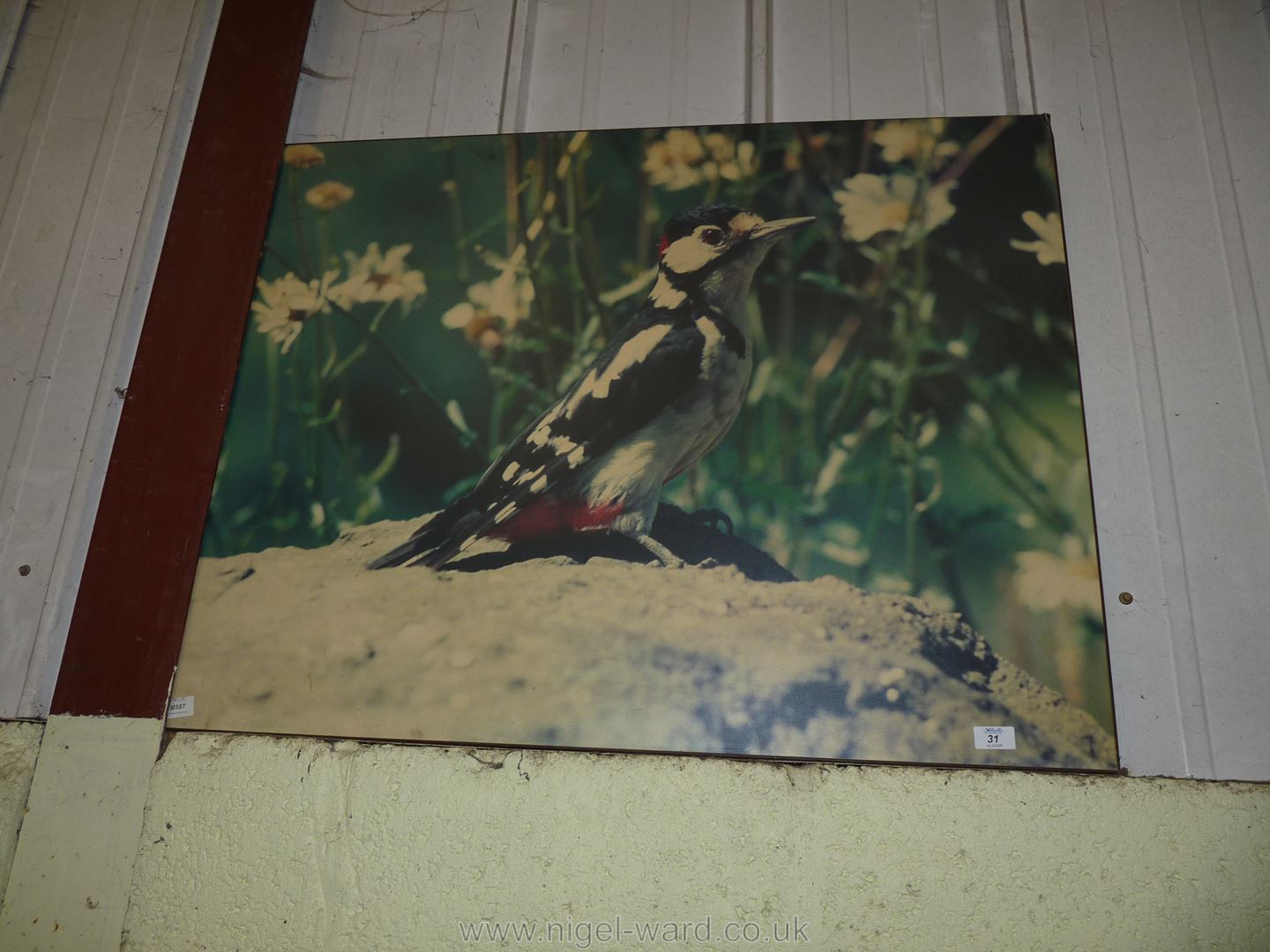 A picture of a woodpecker on board 38" x 31".