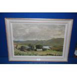 An oil on canvas rural scene with dog and sheep, signed Newton 1970.