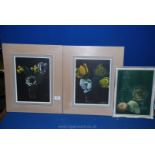 Three floral oil paintings signed Vivien.