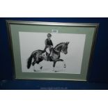 A pencil drawing of an equestrian dressage horse and rider