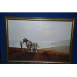 A framed Gerald Caulson Print of two heavy horses ploughing in a cliff top field.