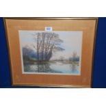 A limited edition (No: 239/300) Etching and aquatint depicting River Wey II, Godalming to Weybridge,
