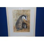 A framed and mounted Watercolour depicting a pair of badgers; signed lower right David Blake.