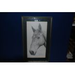 A framed and mounted Pencil sketch of a horse portrait, named and indistinctly signed 'Paisley?',