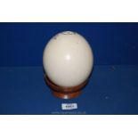 A blown Ostrich egg on wooden stand, no decoration.