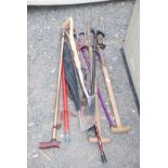 Quantity of garden spades, forks and walking sticks.