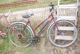 An "Apollo Legend Town & Trail" bicycle with 5 speed Shimano derailleur type gears.