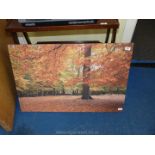 Canvas picture of Autumnal scene