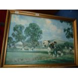 Picture of Shire horses at a ploughing match