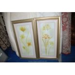 Two pictures of flowers, glazed and in gilt frames, 39'' x 21''.