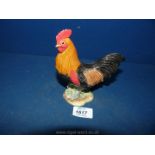 A Beswick cockerel, small chip to beak and comb.