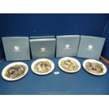 Four Wedgwood baby wild animals Plates including Rabbit, Fox Cubs, Otters and Badgers.