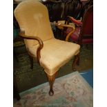 An elegant Walnut & Mahogany framed Elbow Chair standing on cabriole front legs with carved