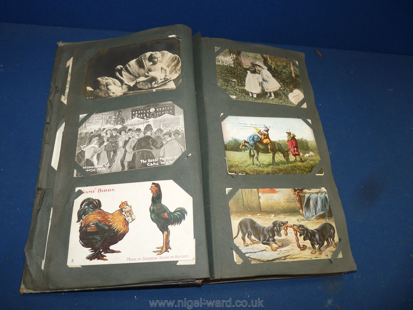 An old Postcard Album and contents including Louis Wain 'Cats Matrimony',