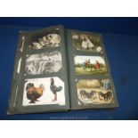 An old Postcard Album and contents including Louis Wain 'Cats Matrimony',