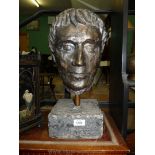 A Bronze study of a head. 17" tall from base to top of head.