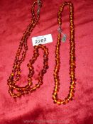 Two amber necklaces, not worn, as new.