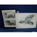 Juliet Peyrol Bonheur: lithograph of Foxes by J. Laurens, published by H.