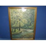 A framed Oil on board of stream flowing through wooded glade, signed lower right F.S.