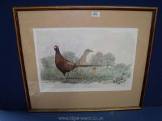 A framed and mounted limited edition Print 'Startled' by Ronald Swanwick no. 106/500, 26'' x 22''.