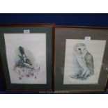Two limited edition prints by Richard Ward, Barn Owl no 197/250 and Woodchat Shrike no. 231/250.