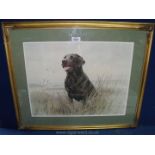 A limited edition signed James Rowley print of a black Labrador in gold frame ,