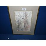 A framed and mounted Watercolour entitled 'Silver Trees'; by Averil Gilkes.