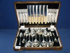 A boxed canteen of cutlery, bone handles, complete.