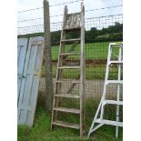 Seven rung pair of wooden steps