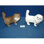 Two Beswick Persian cats, one in white,