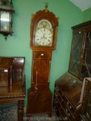A Mahogany cased light and dark wood strung 8 day Longcase CLock having door flanked by mirrored