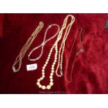 A bone Necklace with silver clasp 54'' long,