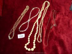 A bone Necklace with silver clasp 54'' long,